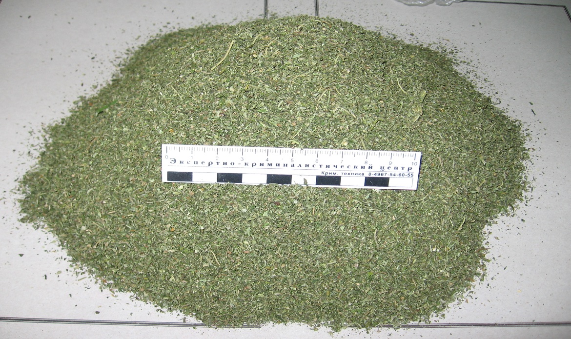 Более 100 граммов марихуаны изъято у двоих жителей Ингушетии