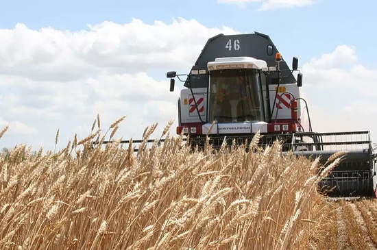 Урожай зерновых в Ингушетии на 12,3% превысил прошлогодний