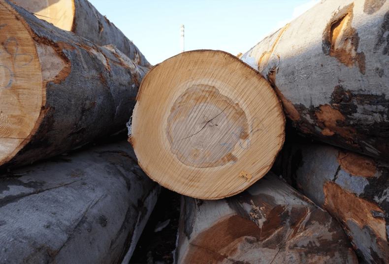 В Ингушетии задержали грузовик с ценной древесиной