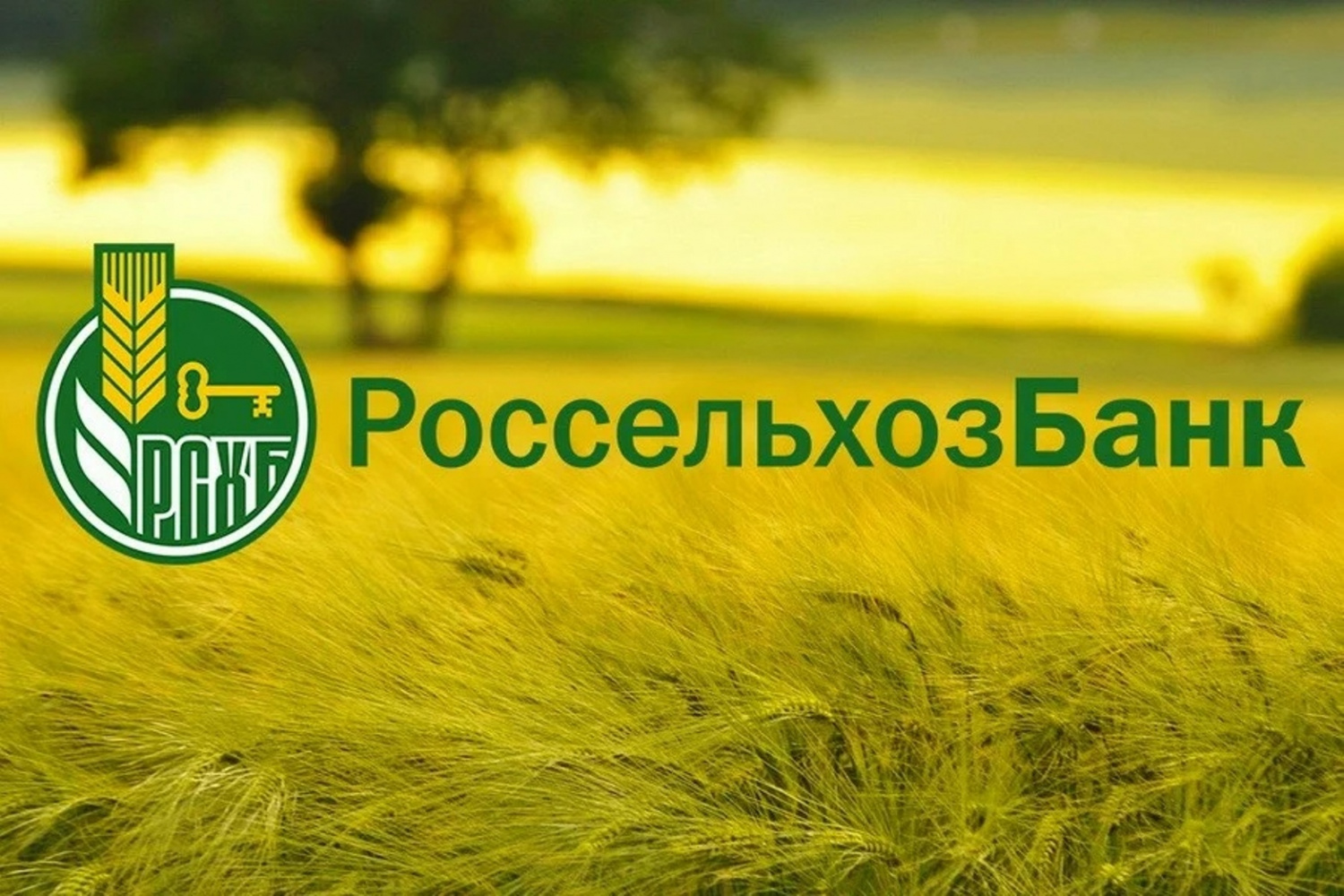Россельхозбанк и власти Ингушетии подписали соглашение о сотрудничестве