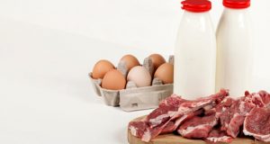 В Ингушетии увеличилось производство молока, яиц и мяса