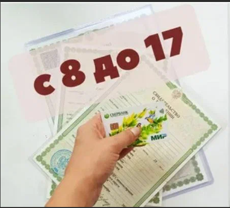 Жительница Ингушетии добилась от чиновников ежемесячной выплаты на детей от 8 до 17 лет