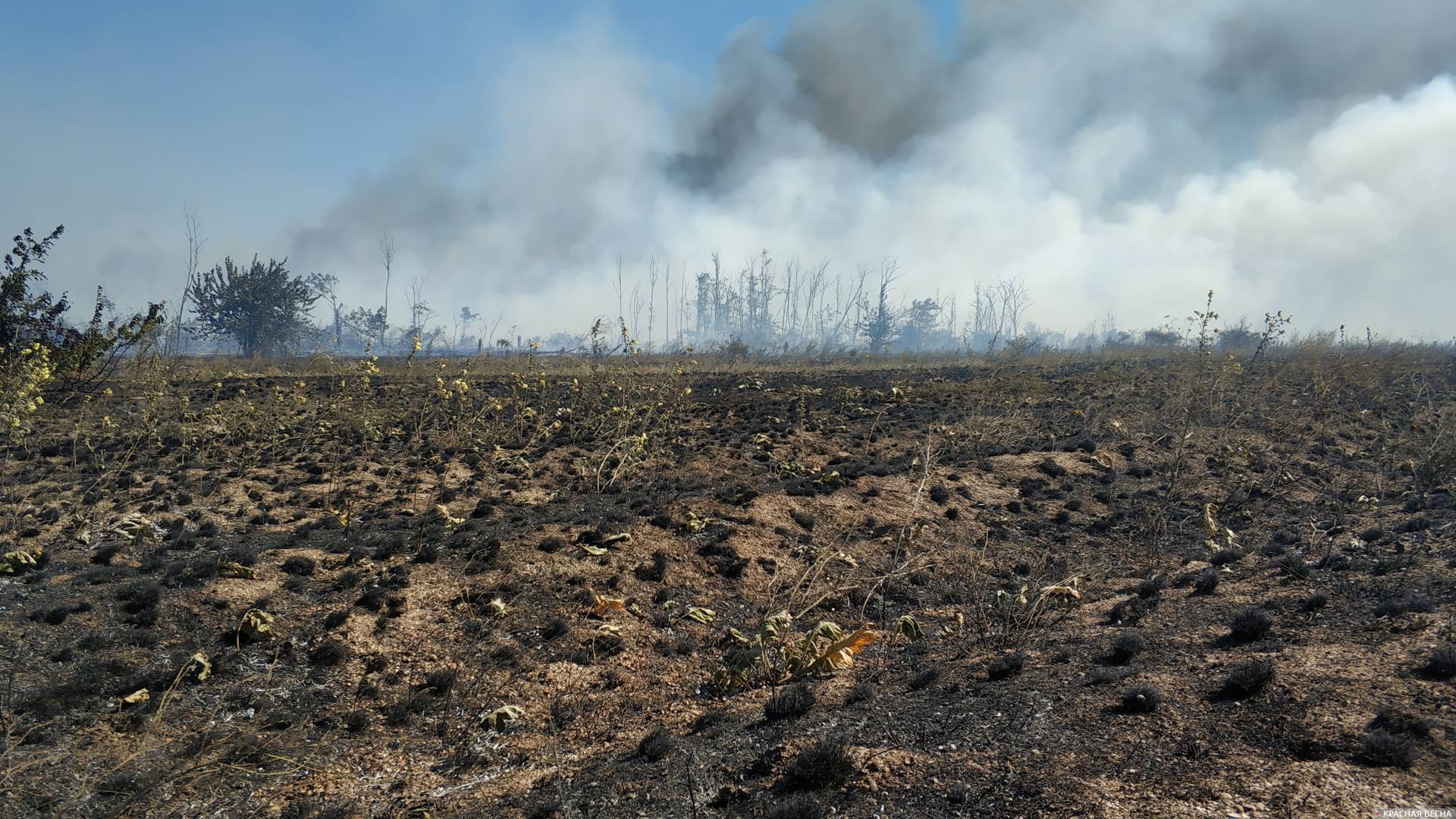 Сотрудники МЧС Ингушетии потушили ландшафтный пожар на площади 120 гектаров
